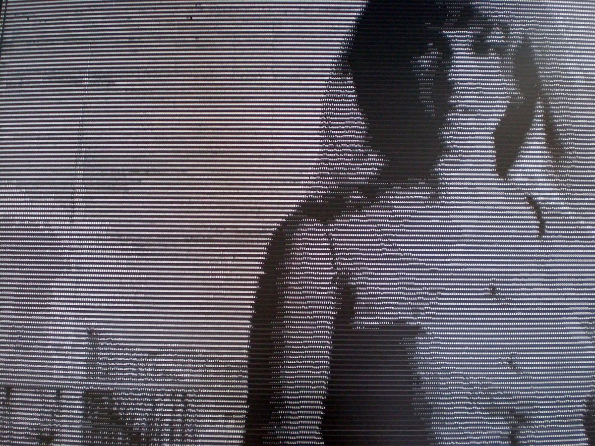 Pierre Fouché. Portrait of Marie Fouché (b.Greyling). 2007. Black embossing tape, perspex, cable wire, 1251 x 1440 x 5mm. Private collection